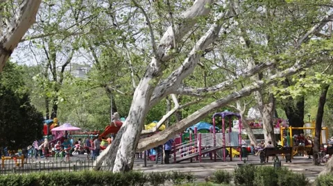 Timelapse in Cismigiu park Video stock 46234413