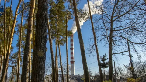 Timelapse of the city with a view of the forest and the chimney. Stock Footage 150731745