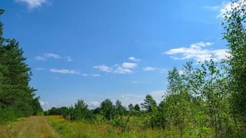 Timelapse of Clear blue sky with scattered white clouds 動画素材 342711207