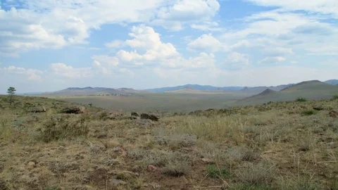 Timelapse, A clear day in the field. Stock Footage 81886022