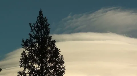 Timelapse clip of evergreen tree and climbing clouds Vídeos de archivo 45114813