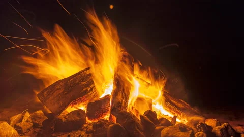 Timelapse Close Up of a Blazing Beach Campfire Vídeos de archivo 159947110