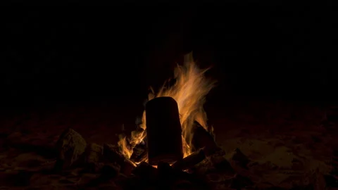 Timelapse - Close Up of an Ocean Beach Bonfire Stock Footage 182555749