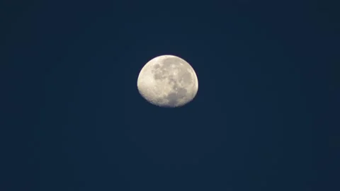 A timelapse of a close-up still shot of the full moon in the blue morning Vidéo 237944944