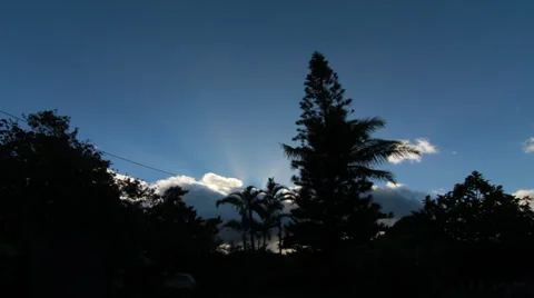 TIMELAPSE CLOUD AND TREE Stock Footage 32865124