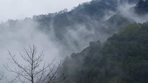 Timelapse of cloud covering hilly forest Stock Footage 261042362