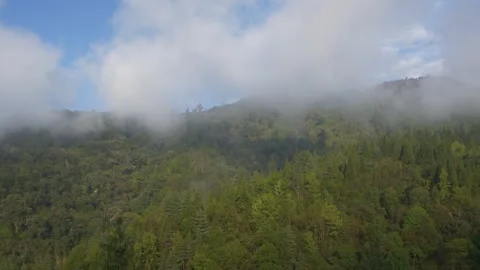Timelapse of cloud covering hilly green forest Stock Footage 261038732