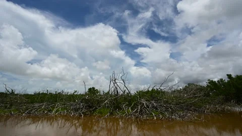 Timelapse of cloud formation over Eco Pond in Everglades National Park 4K. Stock Footage 136056990