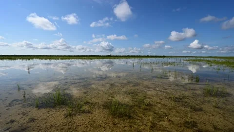 Timelapse of cloud formation over solution holes in Everglades National Park 4K. Stock Footage 147981949