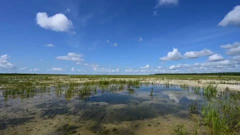 Timelapse of cloud formation over solution holes in Everglades National Park 4K. Stock Footage 147982675