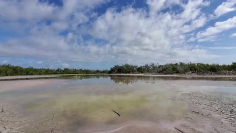 Timelapse of cloud formations over and reflected in Eco Pond in Everglades 4K. Stock Footage 153948246