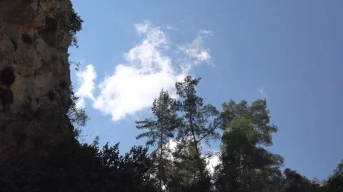 Timelapse cloud fragments form above pine forest - Humid Weather and Sky Motion Stock Footage 339562773