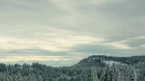 Timelapse of cloud movement over alpine mountains with fir trees Vídeos de archivo 256899839