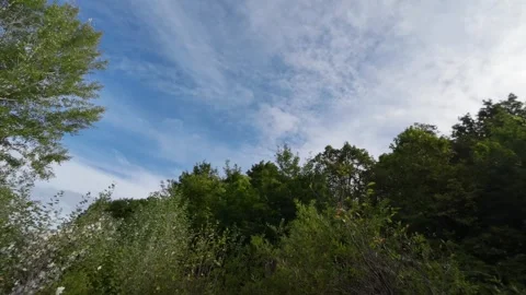 A timelapse of cloud moving against a blue sky surround by trees Stock Footage 287960518