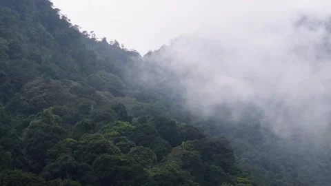 Timelapse of Cloud moving Stock Footage 307173626