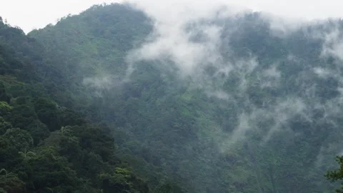 Timelapse of Cloud moving Stock Footage 307174652
