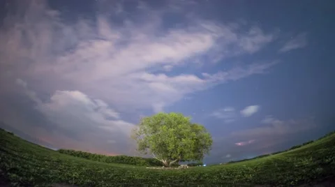 Timelapse cloud at night with slightly milkyway Stock Footage 41254903