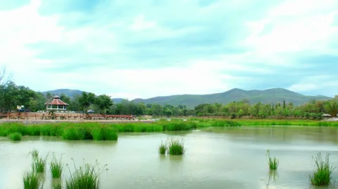 Timelapse cloud water grass 2 Stock Footage 38015893