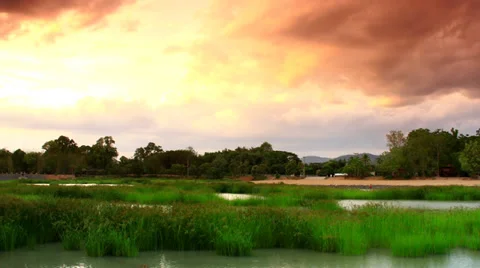 Timelapse cloud water grass 3 Stock Footage 38016411