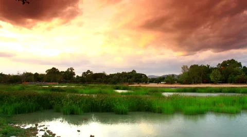 Timelapse cloud water grass 3.1 tilt up Stock Footage 38016013