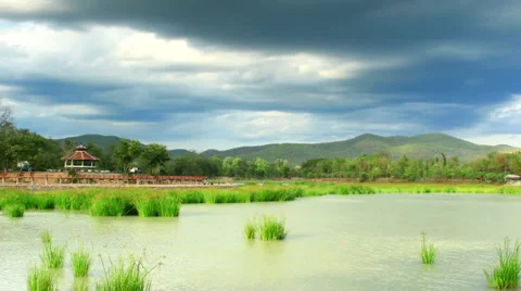 Timelapse cloud water grass zoom out shot Stock Footage 38016732