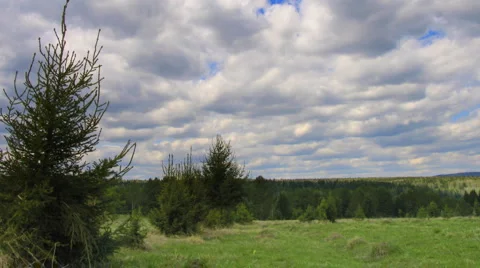 Timelapse clouds above summer field and forest Stock Footage 887629