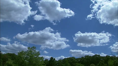 Timelapse clouds above treeline Stock Footage 296504146