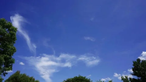 Timelapse of clouds and blue sunny sky,  white clouds over blue sky, Aerial view Video stock 310789458