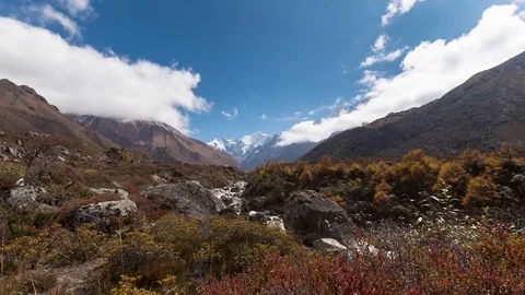 Timelapse of clouds and changing shadows on trees and bushes - Himalayan valley Stock Footage 79914874
