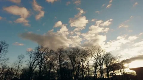 Timelapse of Clouds and Dead Trees - Color Graded Stock Footage 71794654