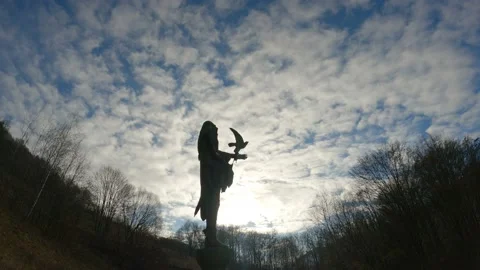 Timelapse with clouds and falconer monument in silouette Stock Footage 238759057
