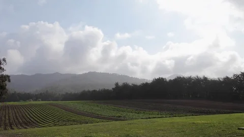 Timelapse of clouds and farm wide angle 動画素材 76441852