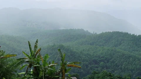 Timelapse of clouds and haze passing over deep green valleys with tropical tree Stockbeeldmateriaal 337285378