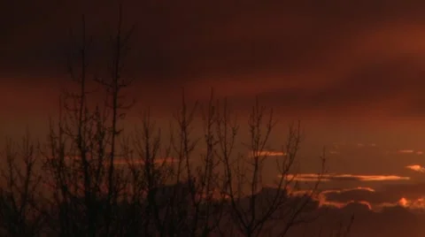 Timelapse clouds and silhouette trees Stock Footage 3620554