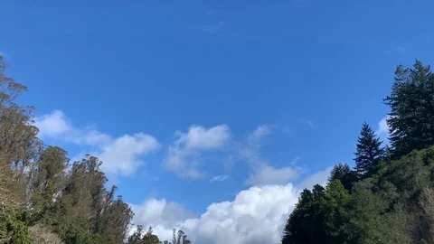 Timelapse Of Clouds And Trees Stock Footage 106877784