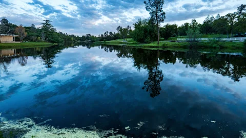 Timelapse of clouds approaching Lake with pedestrians and Ducks Stock Footage 278303408
