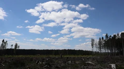 Timelapse clouds Belgium Ardennes Stock Footage 161911365