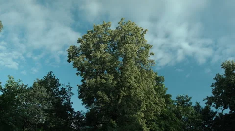 Timelapse Clouds on a blue sky 6 Video stock 63432939