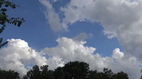 Timelapse of clouds on blue sky over the trees Stock Footage 159075348