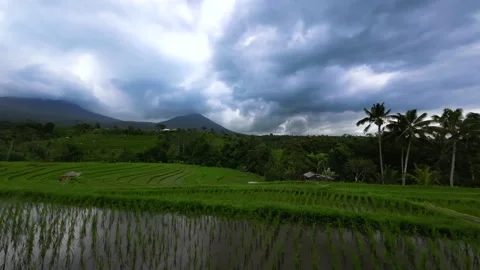 Timelapse clouds circle the mountain on rice terraces Stock Footage 233519257