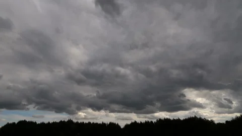 Timelapse of clouds in cloudy gray weather with trees on the horizon Stock Footage 114622080