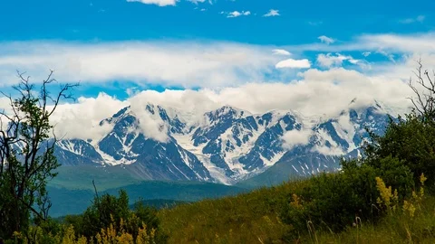 TimeLapse. Clouds cover the snow-covered mountains in the background. Shrubs are Video stock 93939904
