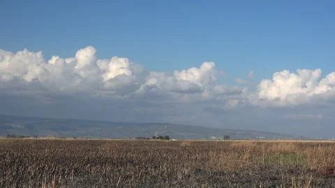Timelapse clouds drift above a dry reed field across Goksu Delta Silifke lowland Stock Footage 339393453