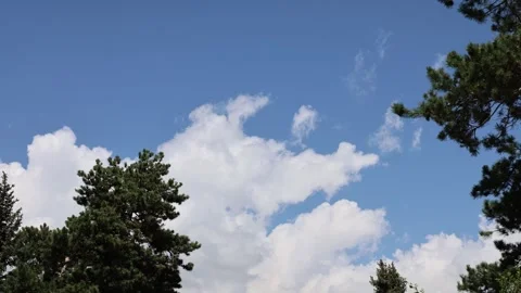 Timelapse of Clouds Drifting Across Blue Sky with green trees in the foreground Stock Footage 343744778