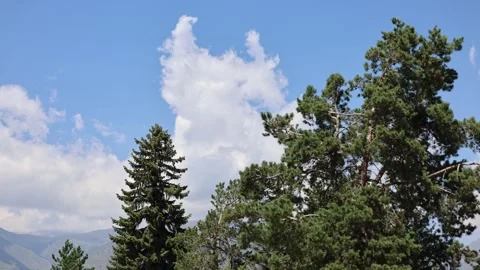 Timelapse of Clouds Drifting Across Blue Sky with green trees in the foreground Stock Footage 343744779