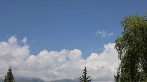 Timelapse of Clouds Drifting Across Blue Sky with green trees in the foreground Stock Footage 343744832