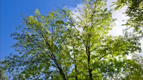 Timelapse of clouds drifting Stock Footage 81765048