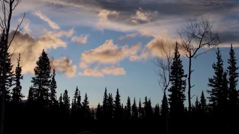 Timelapse of clouds drifting over silhouetted forest landscape. Stock Footage 310030130
