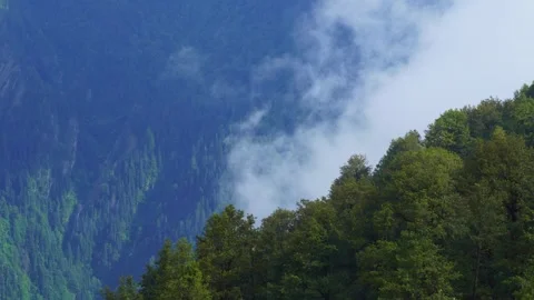 Timelapse of Clouds Drifting Through Dense Green Forest  Himalayan Valley L.. Stock Footage 316360576