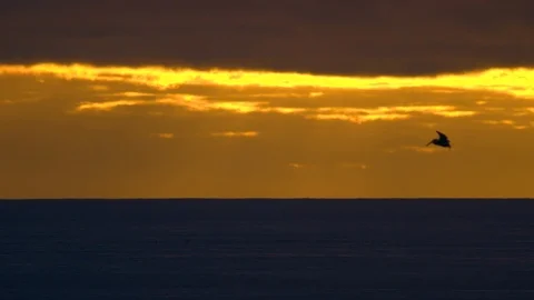 Timelapse of the Clouds During a Golden Sunset on the Oregon Coast Stock Footage 96006774